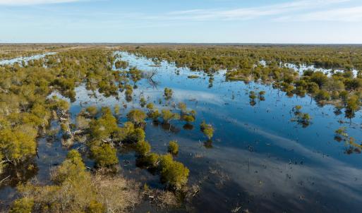 Photo #7 of SOLD property in Off North Lake Rd, Fairfield, NC 11,600.0 acres