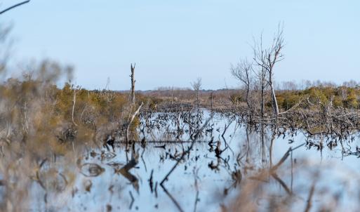 Photo #8 of SOLD property in Off North Lake Rd, Fairfield, NC 11,600.0 acres