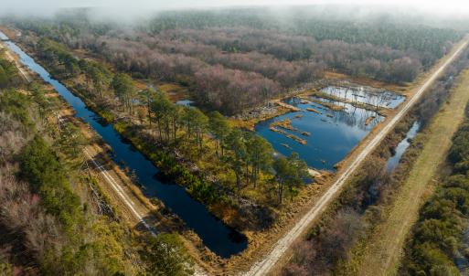 Photo #10 of SOLD property in Off North Lake Rd, Fairfield, NC 11,600.0 acres