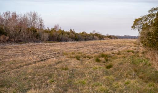 Photo #21 of Off North Lake Rd, Fairfield, NC 11,600.0 acres