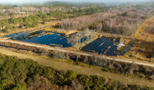 Photo #22 of SOLD property in Off North Lake Rd, Fairfield, NC 11,600.0 acres