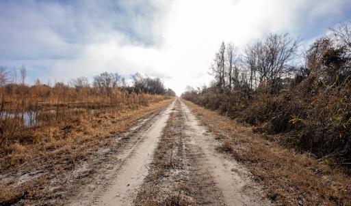 Photo #24 of SOLD property in Off North Lake Rd, Fairfield, NC 11,600.0 acres