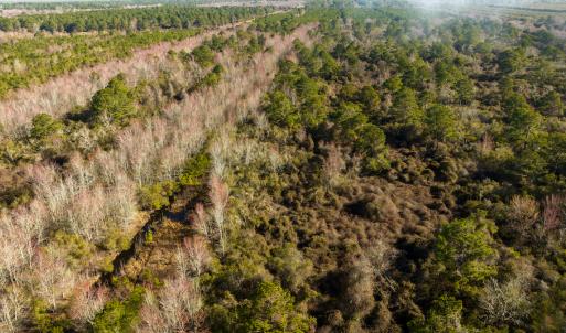 Photo #27 of SOLD property in Off North Lake Rd, Fairfield, NC 11,600.0 acres