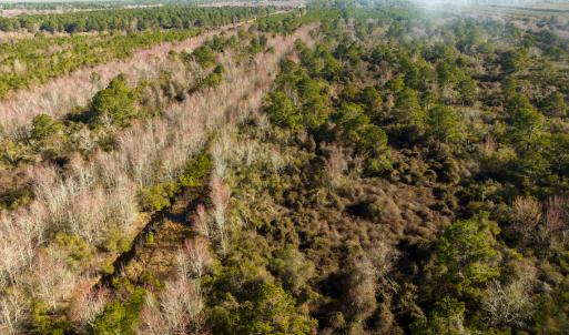 Photo #27 of Off North Lake Rd, Fairfield, NC 11,600.0 acres