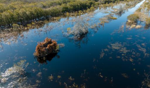 Photo #28 of SOLD property in Off North Lake Rd, Fairfield, NC 11,600.0 acres