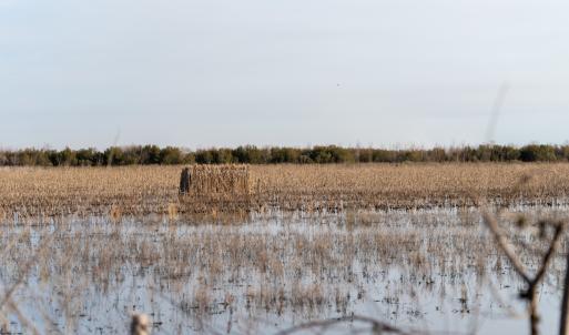 Photo #29 of SOLD property in Off North Lake Rd, Fairfield, NC 11,600.0 acres
