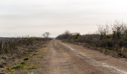 Photo #30 of SOLD property in Off North Lake Rd, Fairfield, NC 11,600.0 acres