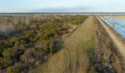 Photo #31 of SOLD property in Off North Lake Rd, Fairfield, NC 11,600.0 acres