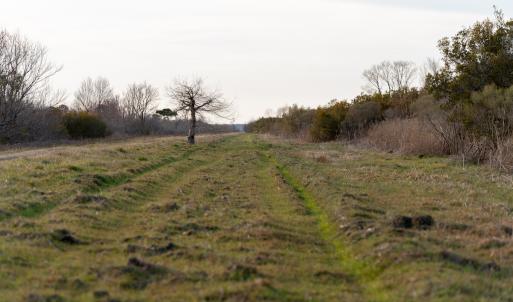 Photo #32 of SOLD property in Off North Lake Rd, Fairfield, NC 11,600.0 acres