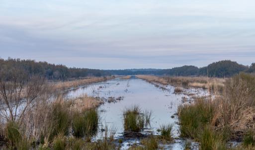 Photo #36 of SOLD property in Off North Lake Rd, Fairfield, NC 11,600.0 acres