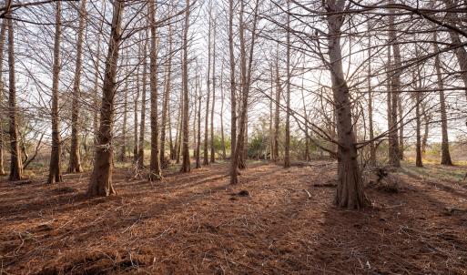 Photo #37 of SOLD property in Off North Lake Rd, Fairfield, NC 11,600.0 acres