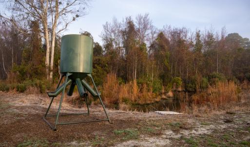 Photo #39 of SOLD property in Off North Lake Rd, Fairfield, NC 11,600.0 acres