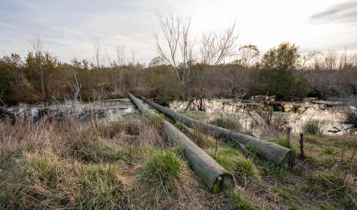 Photo #40 of SOLD property in Off North Lake Rd, Fairfield, NC 11,600.0 acres