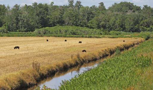Photo #42 of SOLD property in Off North Lake Rd, Fairfield, NC 11,600.0 acres