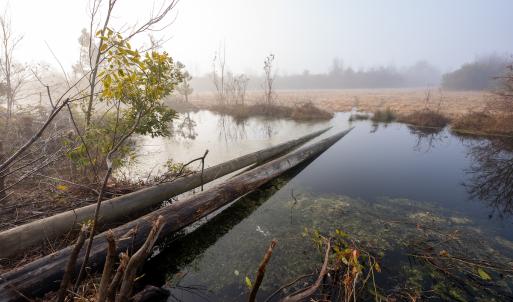Photo #45 of SOLD property in Off North Lake Rd, Fairfield, NC 11,600.0 acres