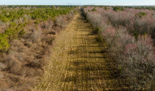 Photo #46 of SOLD property in Off North Lake Rd, Fairfield, NC 11,600.0 acres