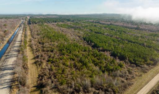 Photo #47 of Off North Lake Rd, Fairfield, NC 11,600.0 acres