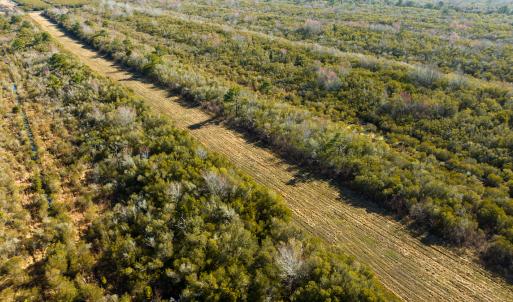 Photo #48 of SOLD property in Off North Lake Rd, Fairfield, NC 11,600.0 acres