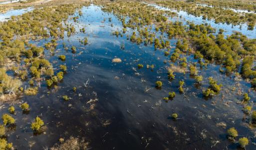 Photo #50 of SOLD property in Off North Lake Rd, Fairfield, NC 11,600.0 acres