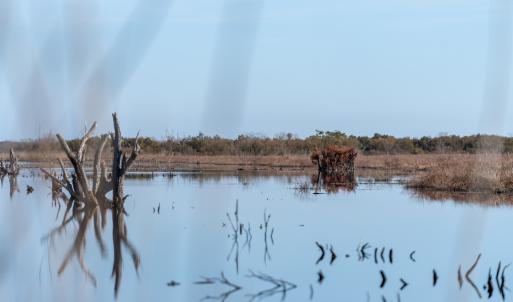 Photo #51 of SOLD property in Off North Lake Rd, Fairfield, NC 11,600.0 acres