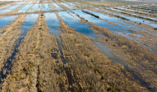 Photo #52 of SOLD property in Off North Lake Rd, Fairfield, NC 11,600.0 acres