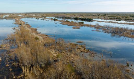 Photo #53 of SOLD property in Off North Lake Rd, Fairfield, NC 11,600.0 acres