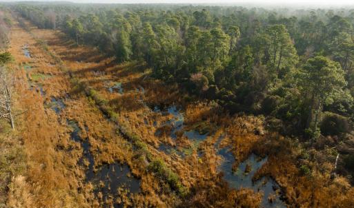 Photo #67 of SOLD property in Off North Lake Rd, Fairfield, NC 11,600.0 acres