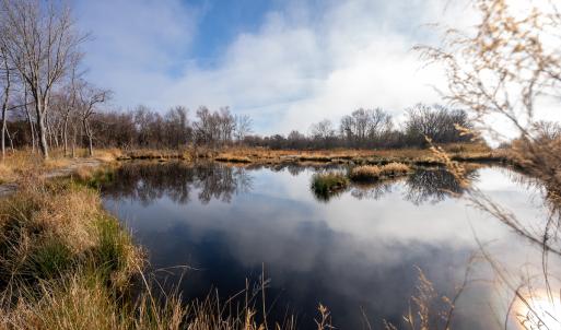 Photo #71 of SOLD property in Off North Lake Rd, Fairfield, NC 11,600.0 acres