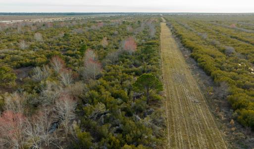 Photo #78 of SOLD property in Off North Lake Rd, Fairfield, NC 11,600.0 acres