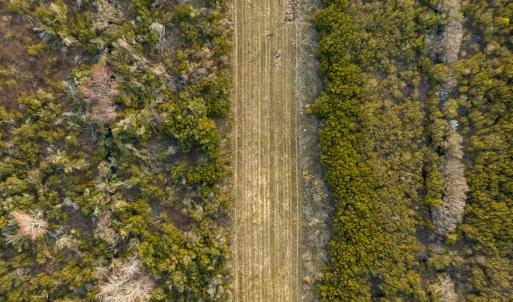 Photo #79 of SOLD property in Off North Lake Rd, Fairfield, NC 11,600.0 acres