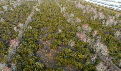 Photo #80 of SOLD property in Off North Lake Rd, Fairfield, NC 11,600.0 acres