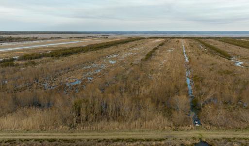 Photo #81 of SOLD property in Off North Lake Rd, Fairfield, NC 11,600.0 acres
