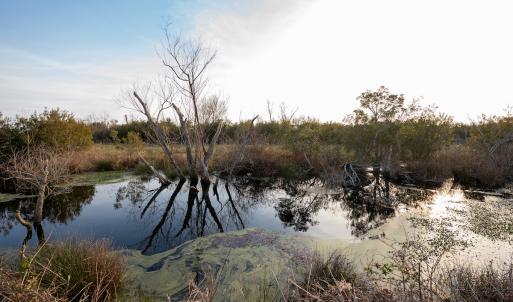 Photo #86 of SOLD property in Off North Lake Rd, Fairfield, NC 11,600.0 acres