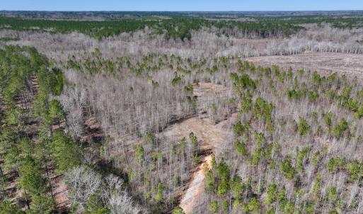 Photo #2 of SOLD property in 05 Beamon Hunt Rd, Warrenton, NC 23.7 acres
