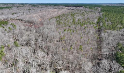 Photo #11 of SOLD property in 05 Beamon Hunt Rd, Warrenton, NC 23.7 acres