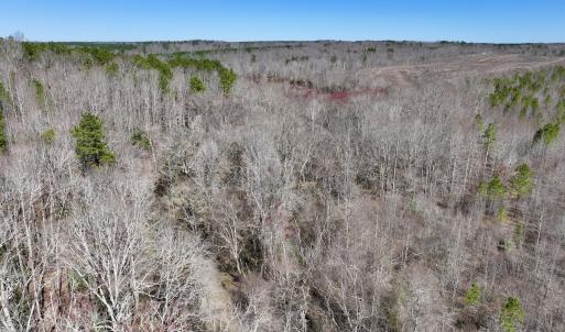 Photo #12 of SOLD property in 05 Beamon Hunt Rd, Warrenton, NC 23.7 acres