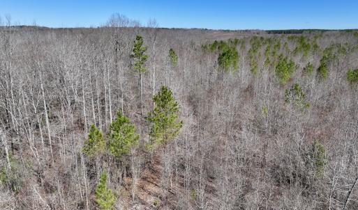 Photo #14 of SOLD property in 05 Beamon Hunt Rd, Warrenton, NC 23.7 acres