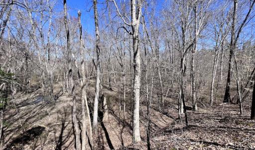 Photo #16 of SOLD property in 05 Beamon Hunt Rd, Warrenton, NC 23.7 acres