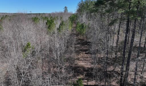 Photo #17 of SOLD property in 05 Beamon Hunt Rd, Warrenton, NC 23.7 acres
