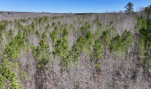 Photo #18 of SOLD property in 05 Beamon Hunt Rd, Warrenton, NC 23.7 acres