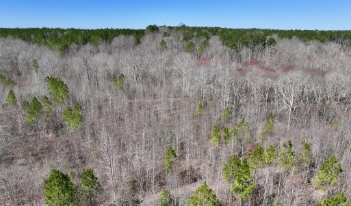 Photo #19 of SOLD property in 05 Beamon Hunt Rd, Warrenton, NC 23.7 acres