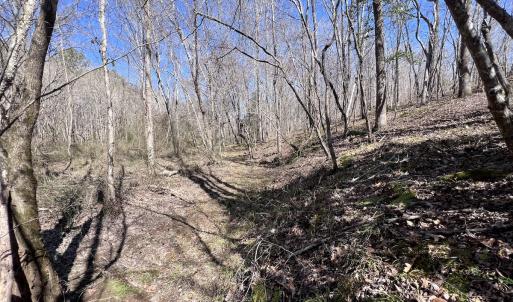 Photo #20 of SOLD property in 05 Beamon Hunt Rd, Warrenton, NC 23.7 acres