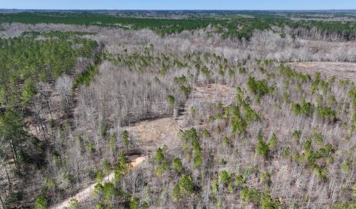 Photo #3 of SOLD property in 05 Beamon Hunt Rd, Warrenton, NC 23.7 acres