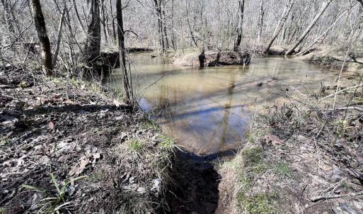 Photo #21 of SOLD property in 05 Beamon Hunt Rd, Warrenton, NC 23.7 acres