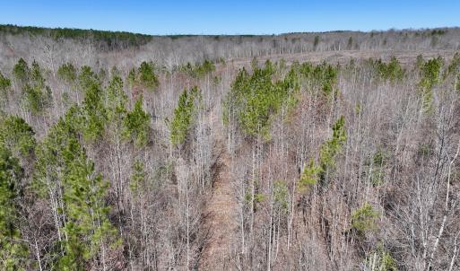 Photo #22 of SOLD property in 05 Beamon Hunt Rd, Warrenton, NC 23.7 acres