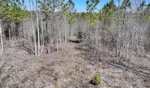 Photo #23 of SOLD property in 05 Beamon Hunt Rd, Warrenton, NC 23.7 acres