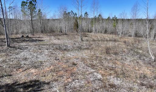Photo #24 of SOLD property in 05 Beamon Hunt Rd, Warrenton, NC 23.7 acres