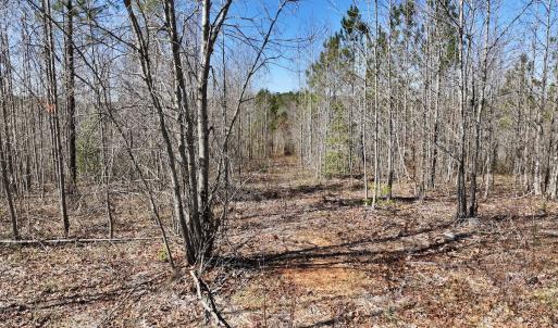 Photo #25 of SOLD property in 05 Beamon Hunt Rd, Warrenton, NC 23.7 acres