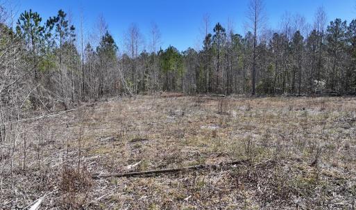 Photo #26 of SOLD property in 05 Beamon Hunt Rd, Warrenton, NC 23.7 acres
