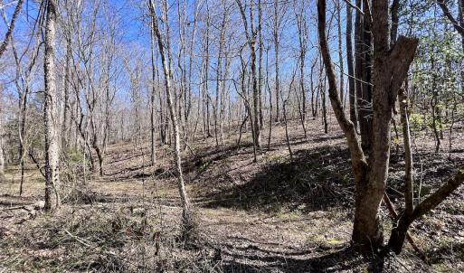 Photo #28 of SOLD property in 05 Beamon Hunt Rd, Warrenton, NC 23.7 acres